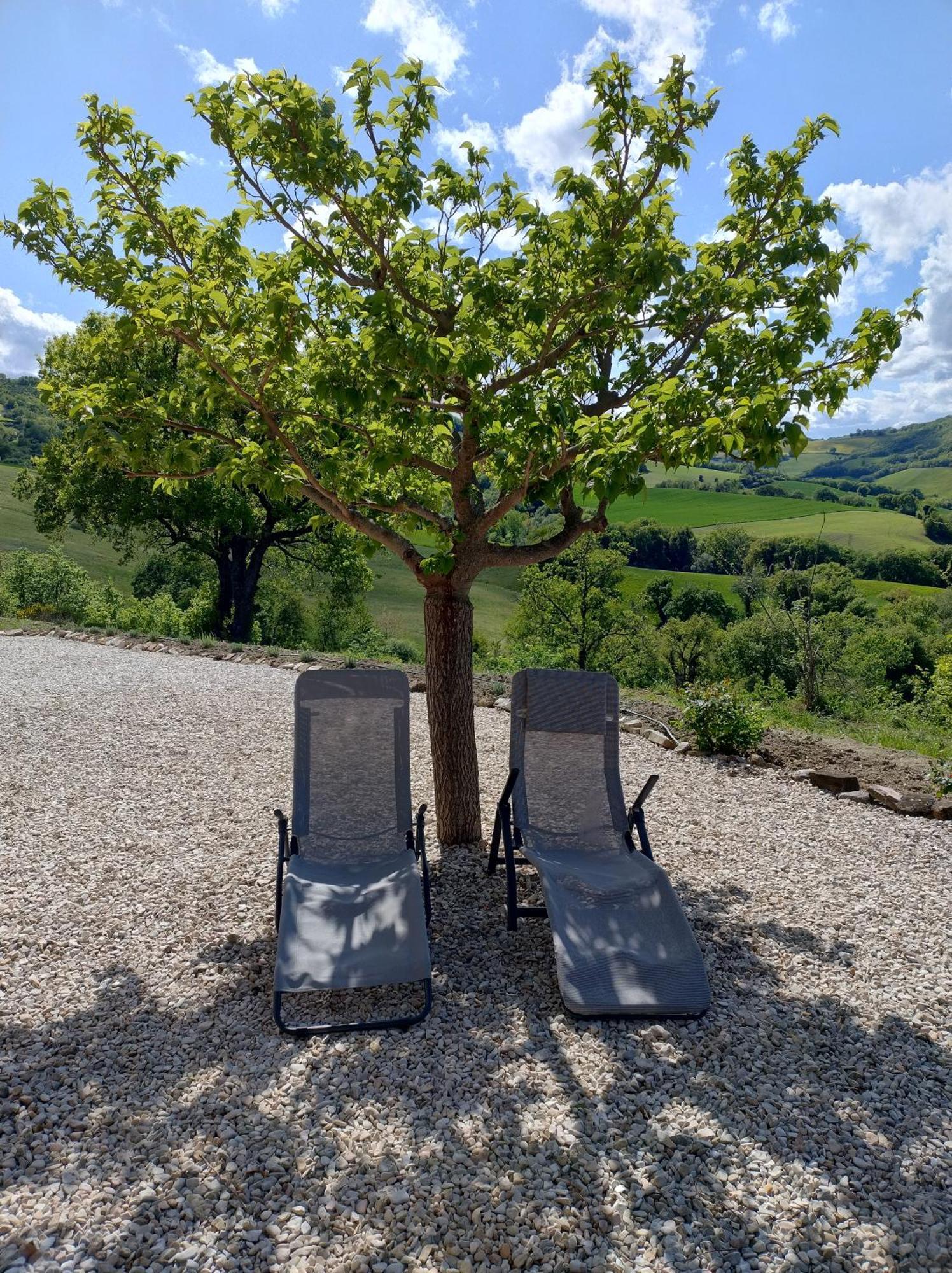 Rosa Nel Pozzo Apartments And B&B San Pietro  외부 사진